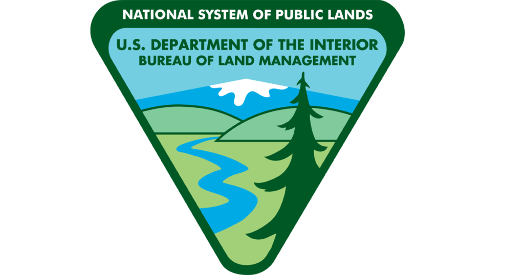 BLM Seeks Public Input on Lahontan Wild Horse Gather Plan