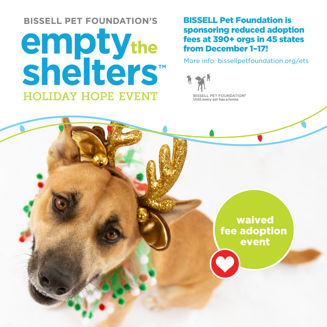 Empty the Shelters Event: Free Adoptions for Dogs Over 6 Months