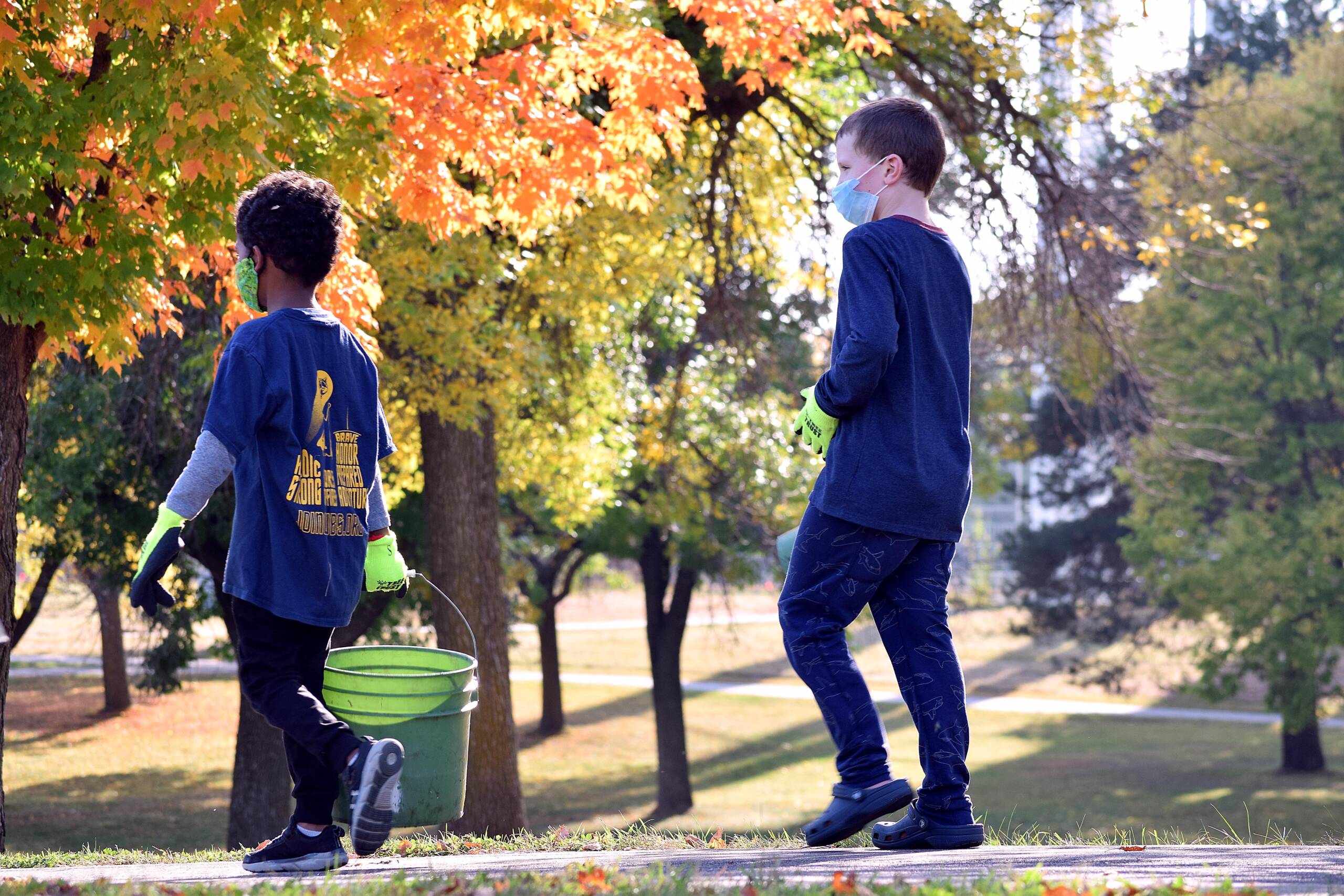 Join Our Spring Parks Tree Planting: Volunteer Opportunities Await!