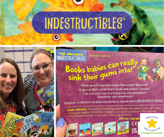 Indestructible Books: A Durable Solution for Early Literacy Concerns