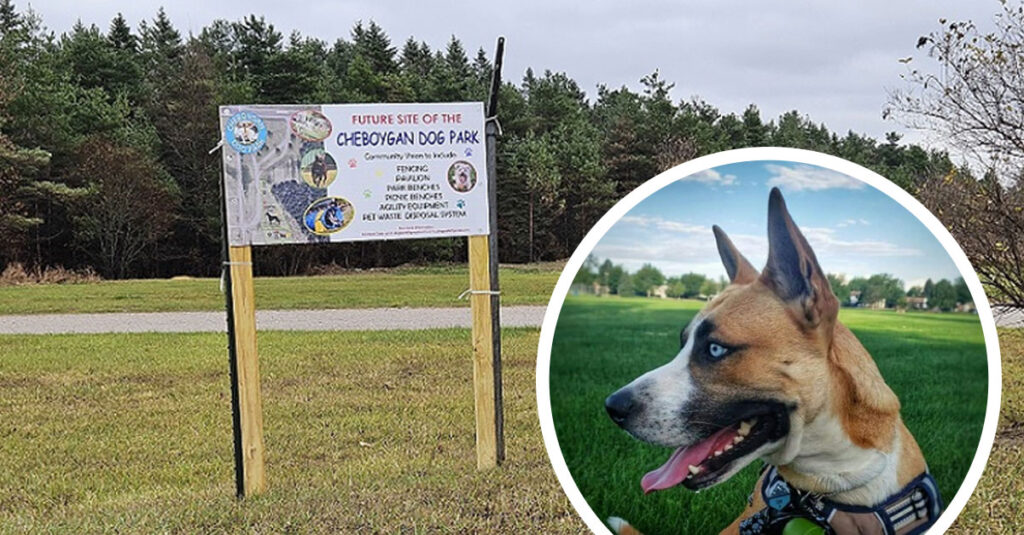 Cheboygan County Launches Crowdfunding for New Community Dog Park