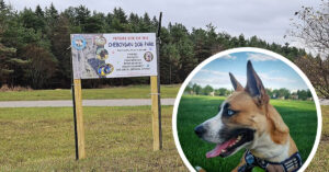 Cheboygan County Launches Crowdfunding for New Community Dog Park