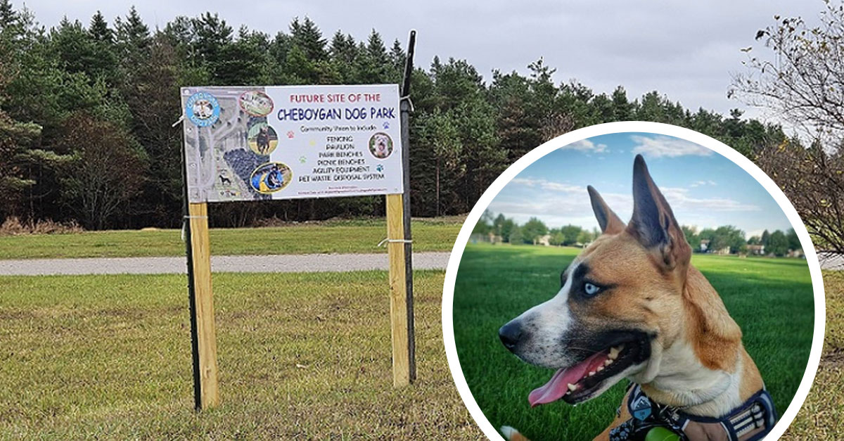 Cheboygan County Launches Crowdfunding for New Community Dog Park
