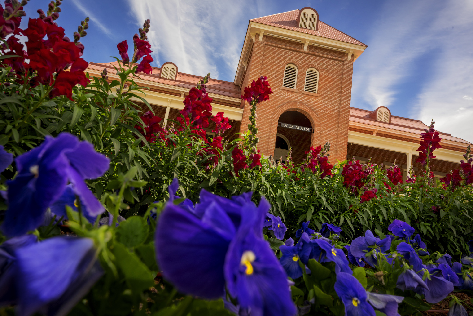 University of Arizona Honors Seven Seniors for Remarkable Achievements