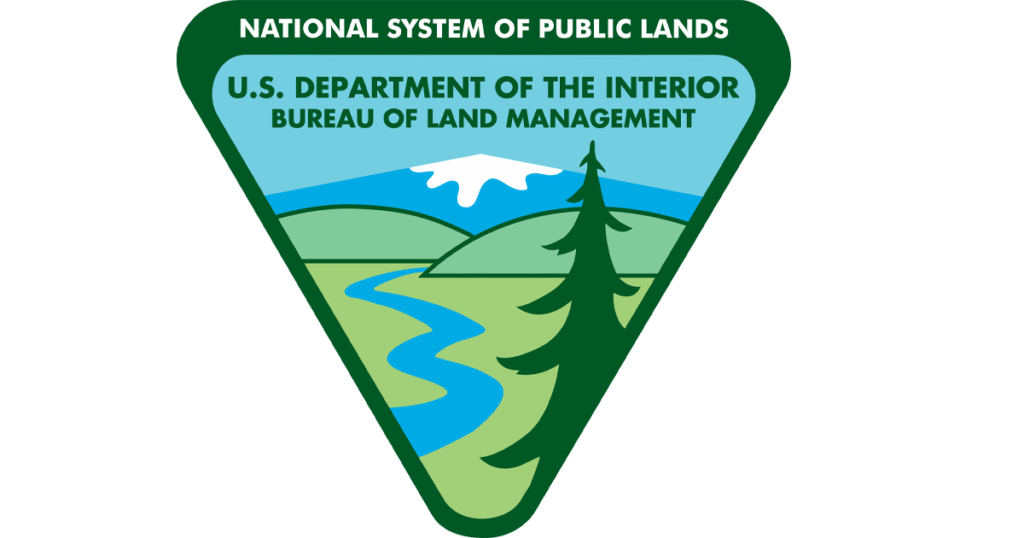 BLM Completes Pancake Complex Wild Horse Gather Near Ely, Nevada