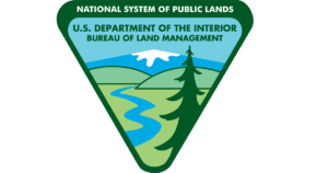 BLM Completes Pancake Complex Wild Horse Gather Near Ely, Nevada