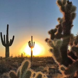 Maricopa County Proposes Modest Park Fee Increases to Cover Costs