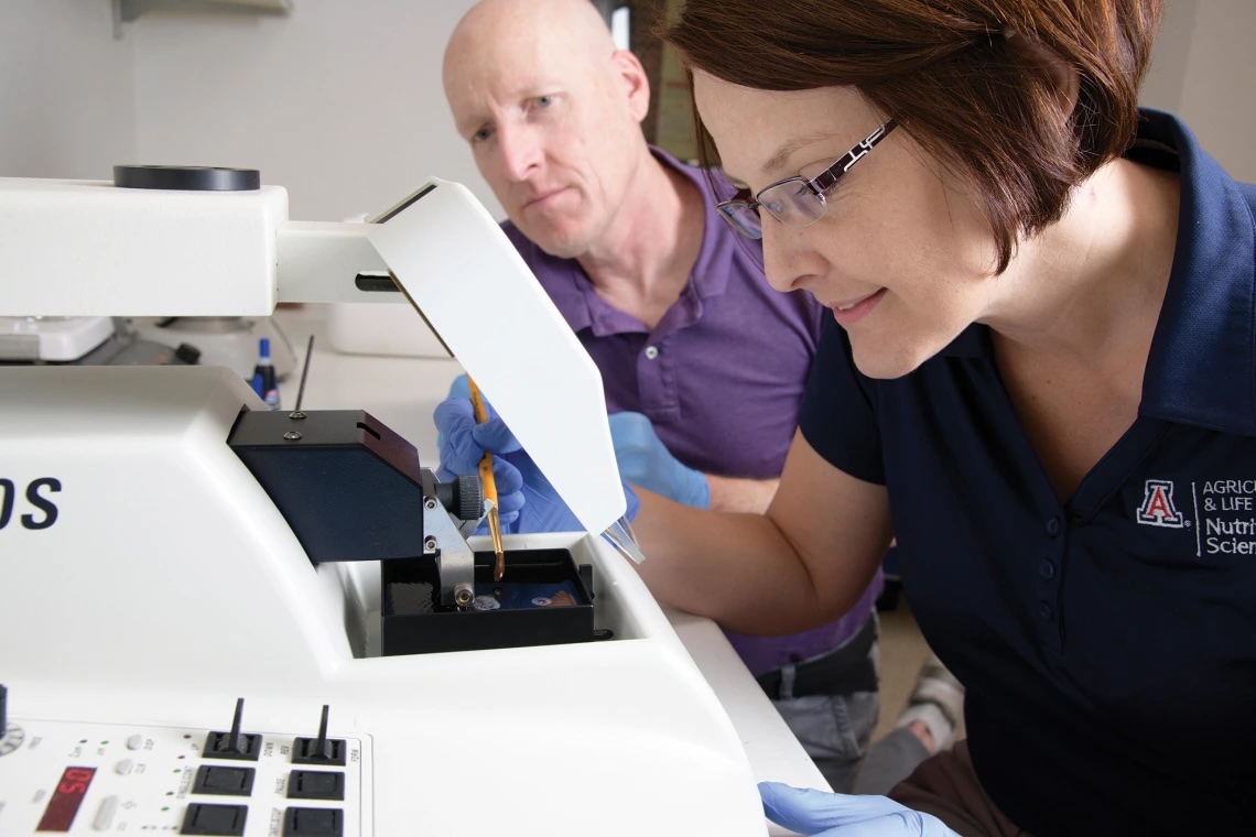 Exploring Immune Cell Role in Salivary Gland Recovery Post-Radiation