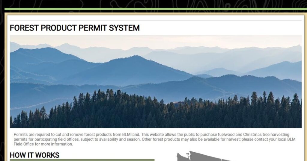BLM Offers Free Permits for Christmas Trees and Firewood in Nevada