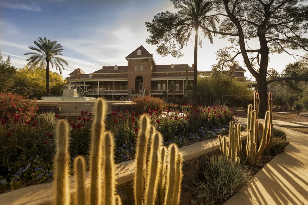 University of Arizona’s 2025 Milestones: Research, Athletics, and More