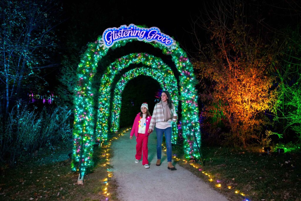 Winter Wander Trail of Lights: A Festive Journey of Love and Charity