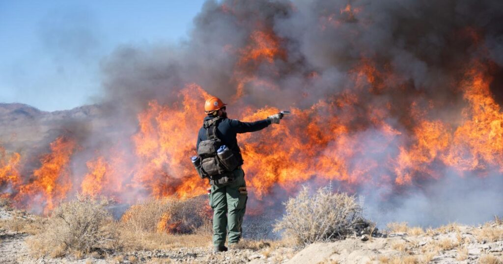 BLM Conducts Prescribed Burns in Nevada to Reduce Wildfire Risks
