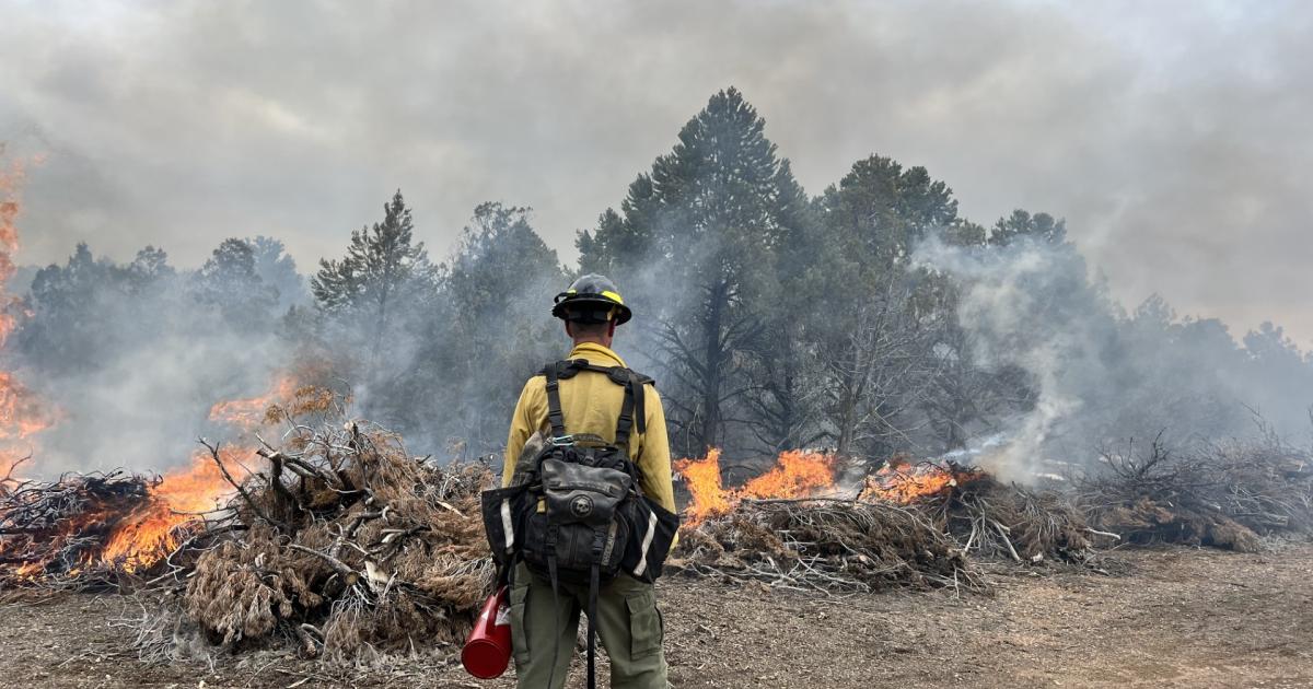BLM Manages 245 Million Acres of Public Land Across Western States