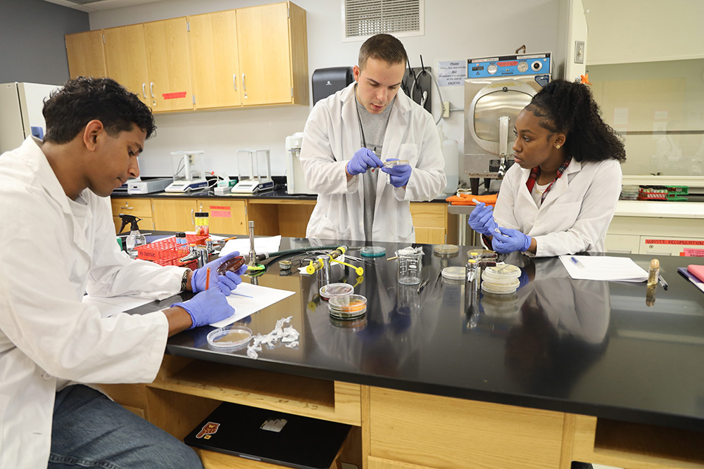 NSU Students Tackle Antibiotic Resistance with Innovative Research