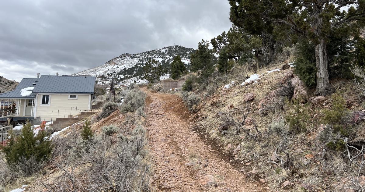 Nevada Offers Grants to Reduce Wildfire Risks for Communities