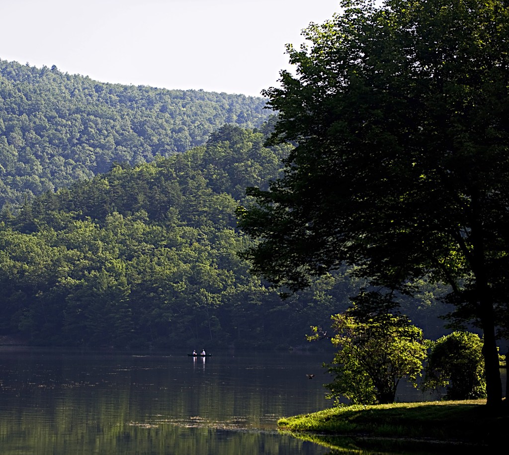 Preserving Roadless Areas: Vital for Veterans and Nature’s Future