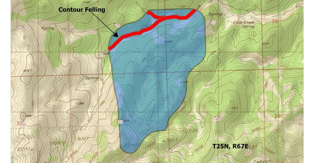 BLM Approves Rehabilitation Activities for 2025 Chin Creek Fire in Nevada BLM Approves Rehabilitation Activities for 2025 Chin Creek Fire in Nevada