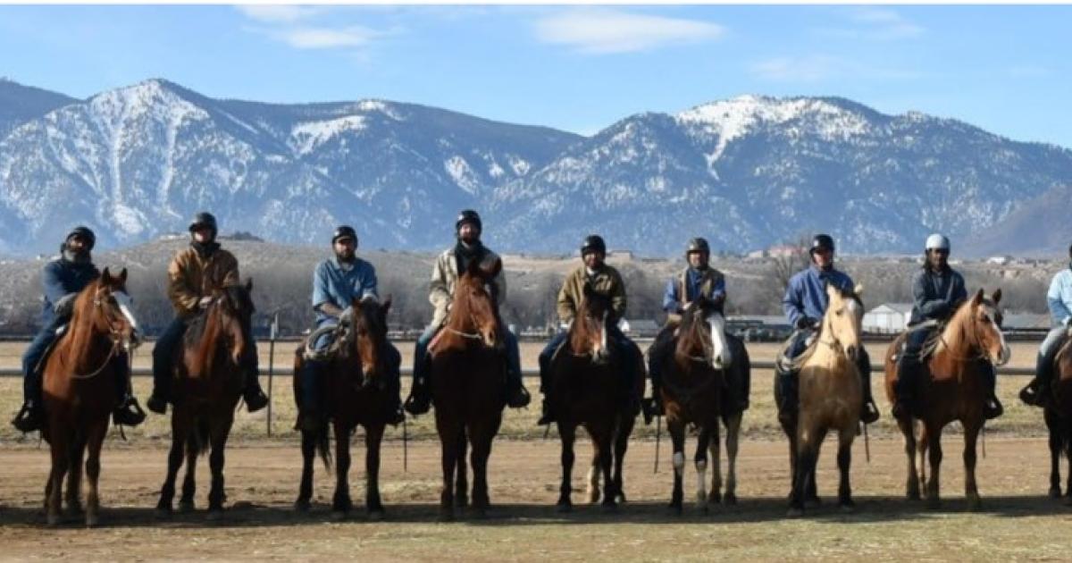 February 2026 Wild Horse Adoption Event Cancelled Due to Storms