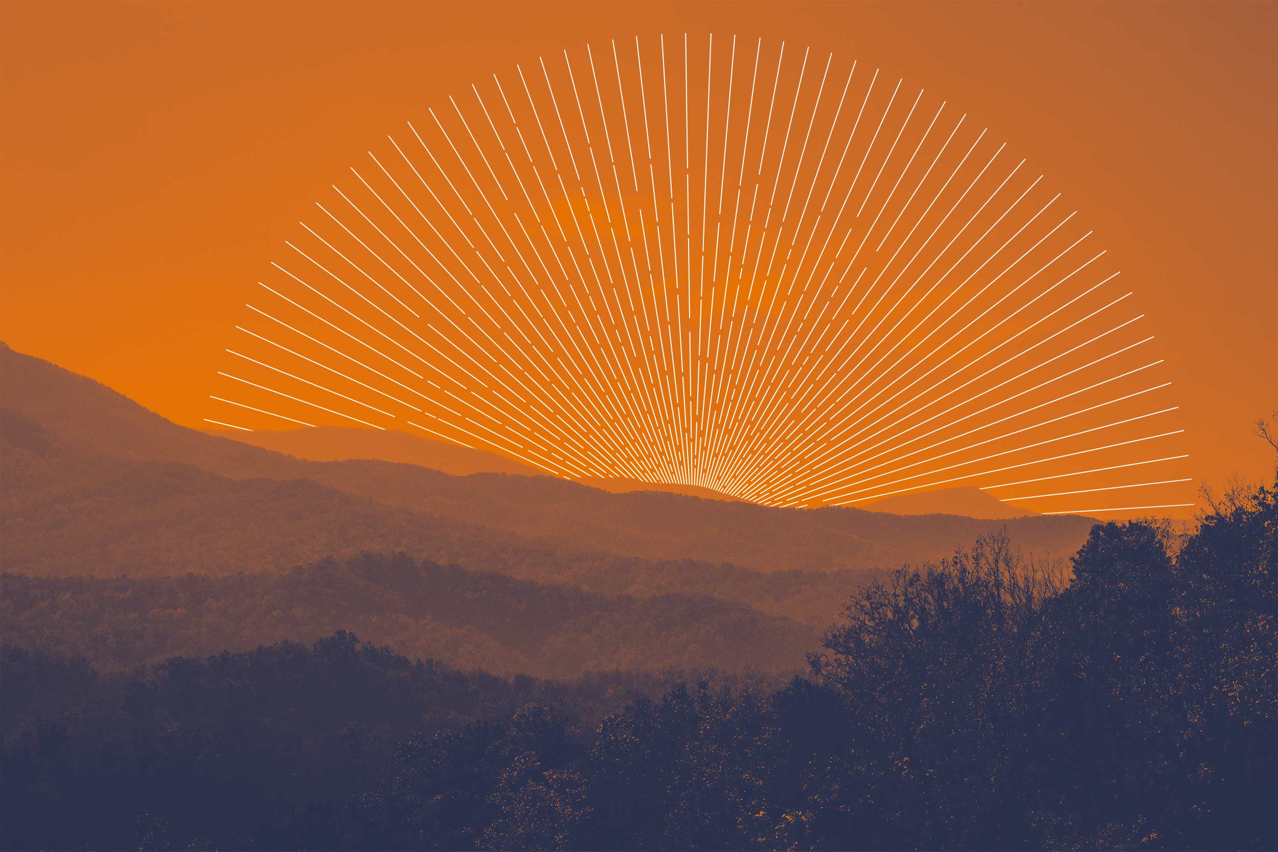 UVA Partnership Boosts Appalachian Communities and Student Development