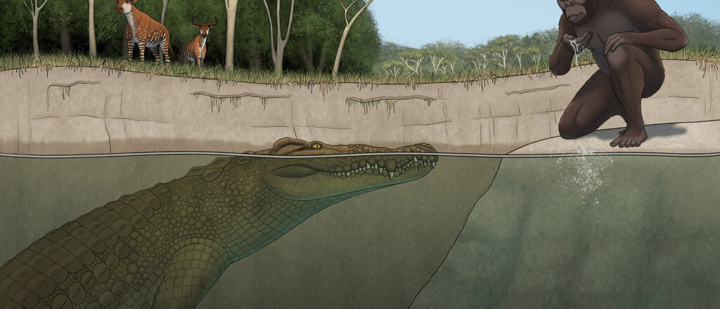 Ancient Crocodile “Lucy’s Hunter” Discovered in Ethiopia’s Hadar Site