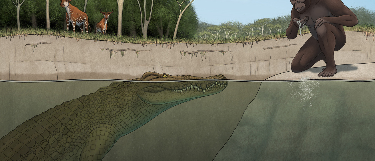 Ancient Crocodile “Lucy’s Hunter” Discovered in Ethiopia’s Hadar Site