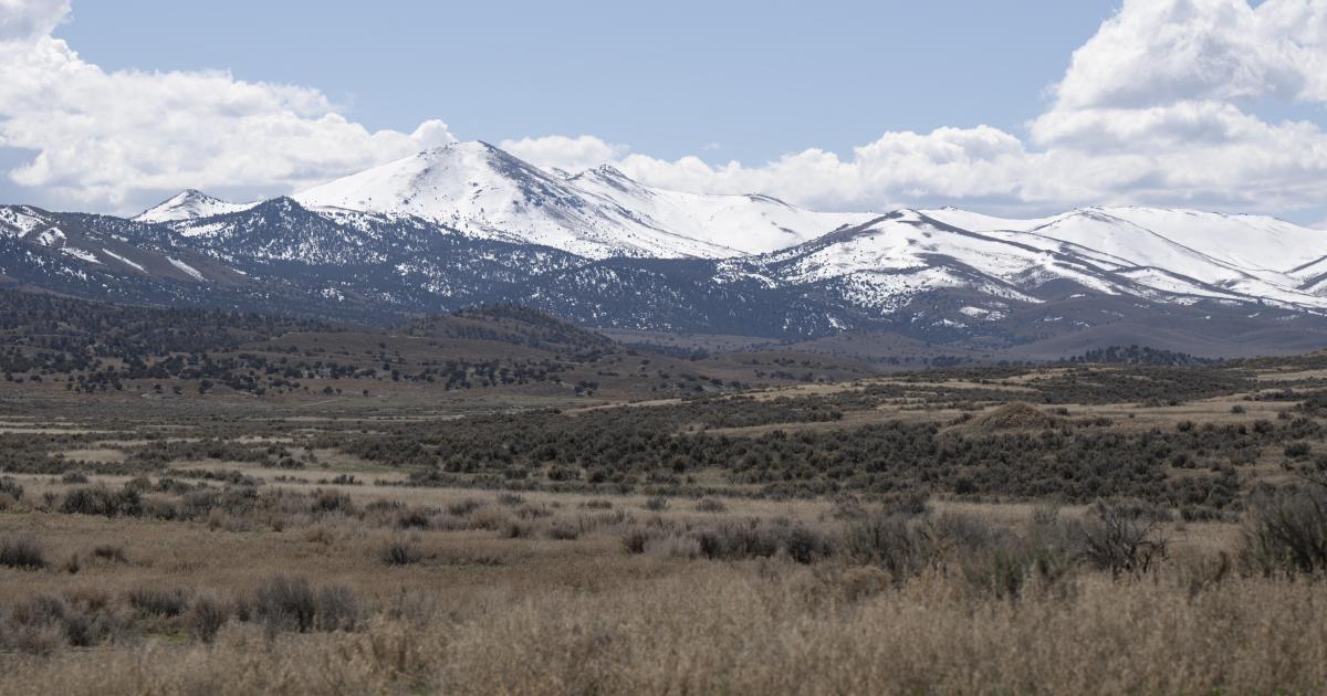 BLM Opens Public Review for Arthur Gold Exploration Project in Nevada