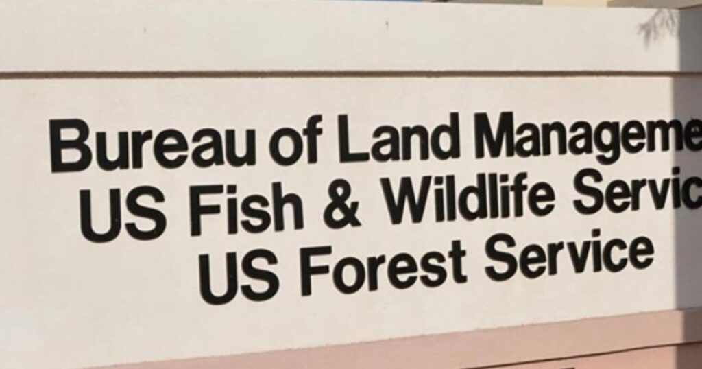 BLM Seeks Public Input on Nevada Land Sale Proposal for Development