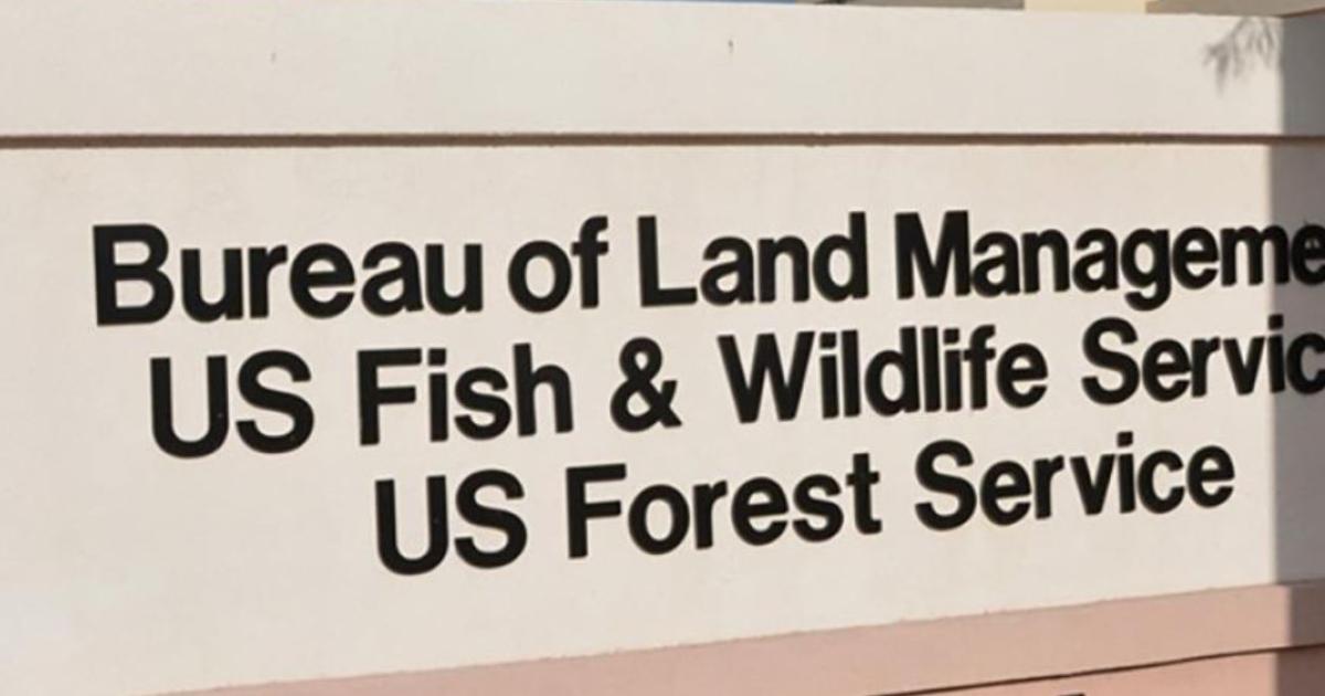 BLM Seeks Public Input on Nevada Land Sale Proposal for Development