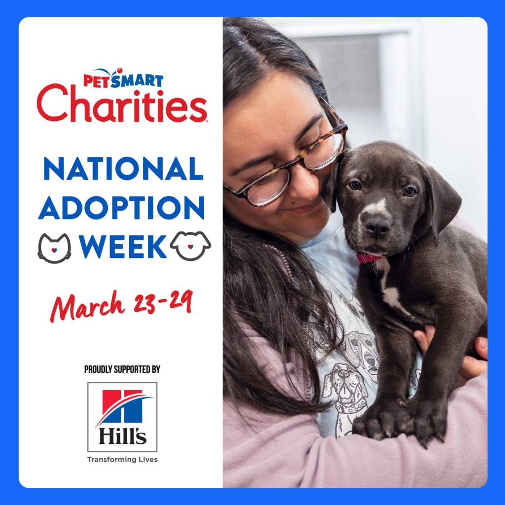 Maricopa Animal Care receives K grant for National Adoption Week