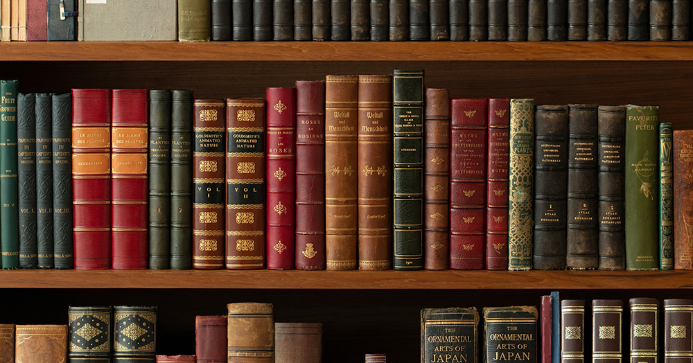 Memoir Explores Girlhood and Womanhood with Insightful Essays