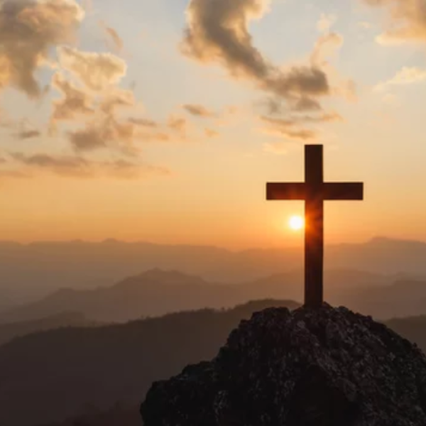 Ensuring Equal Access: Request Accommodations and Services in Maricopa