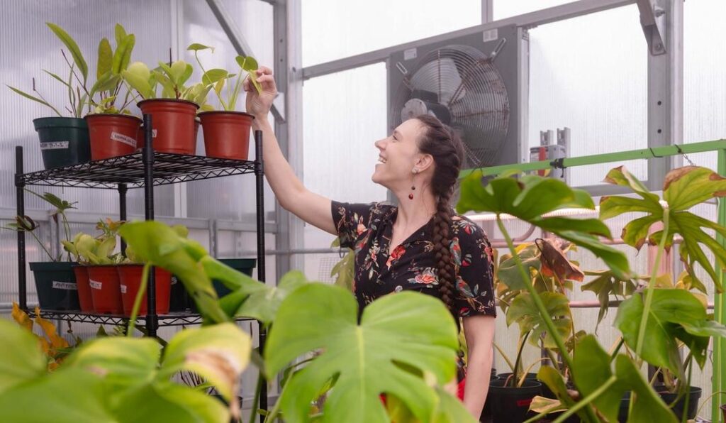 Michelle Spicer’s Research on Epiphytes and Climate Change Resilience