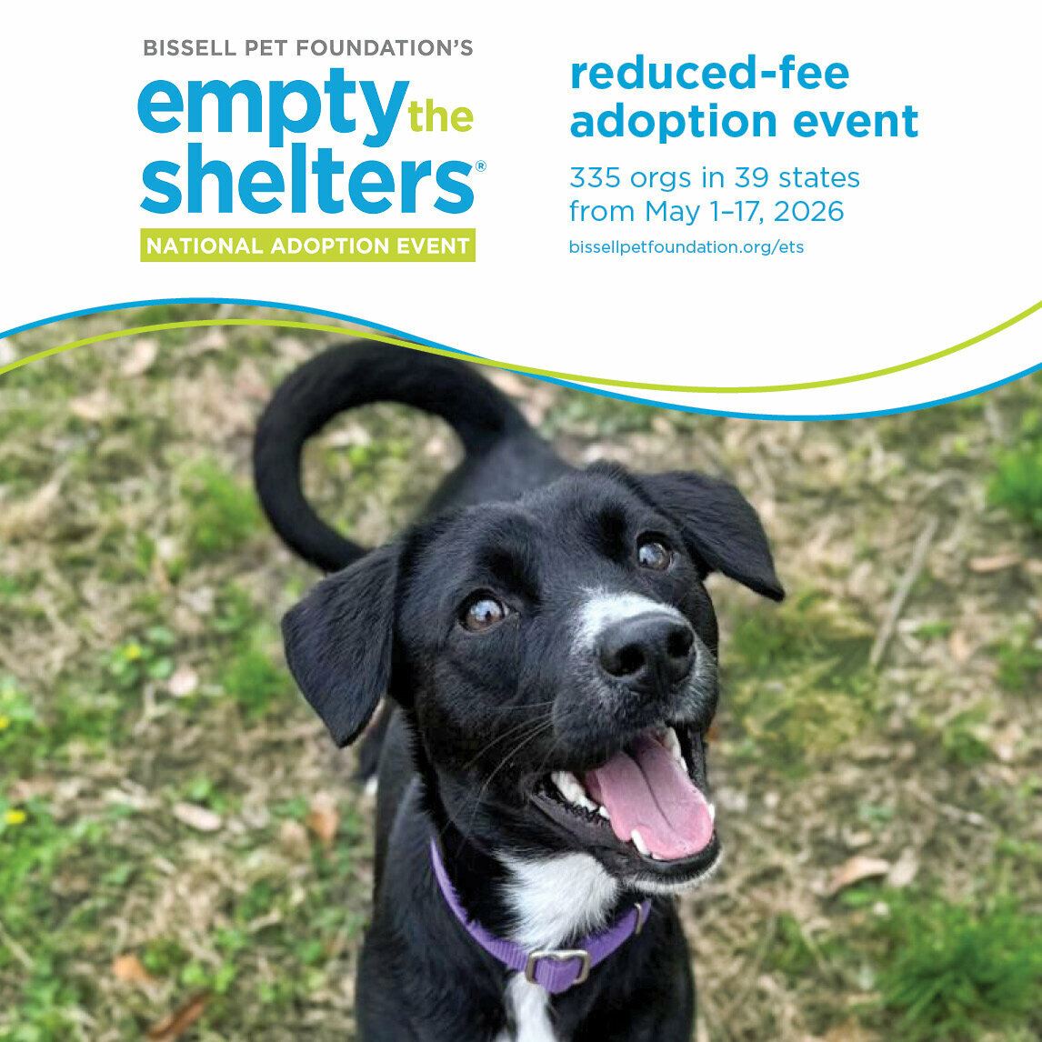 BISSELL Pet Foundation Celebrates 10 Years of Empty the Shelters Event