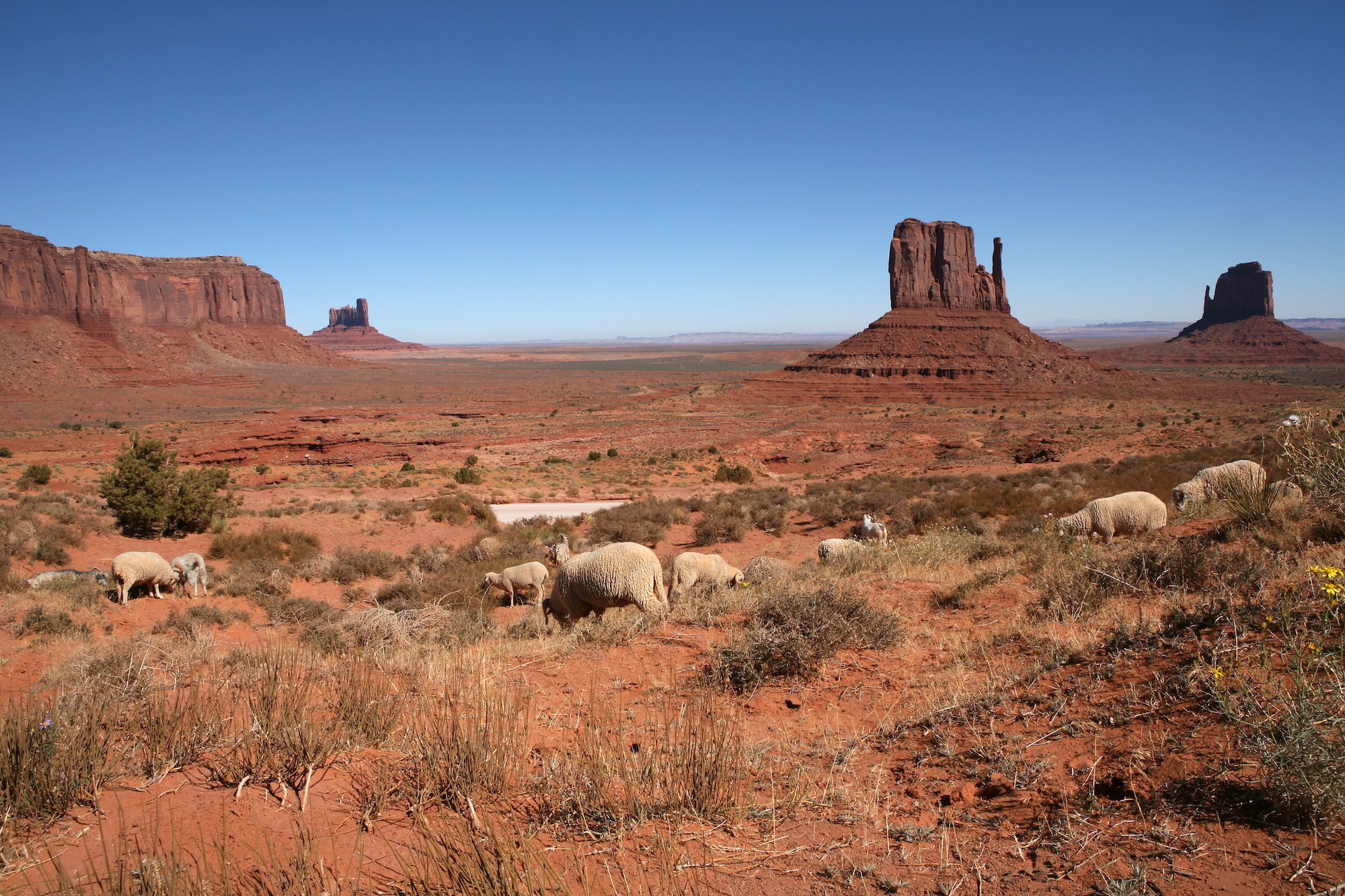 Tribal Agriculture Boosts Arizona Economy with 3.3M Impact in 2022