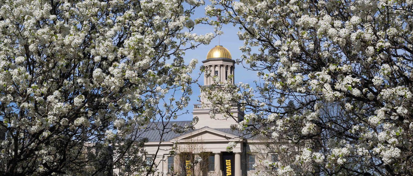 University of Iowa advances reSPARC initiative to implementation phase
