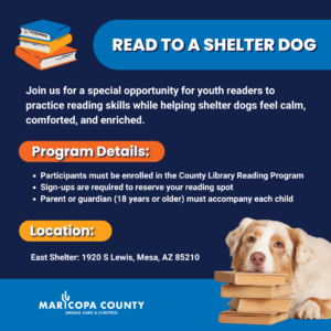Youth Reading Program at MCACC: Enriching Shelter Dogs’ Lives