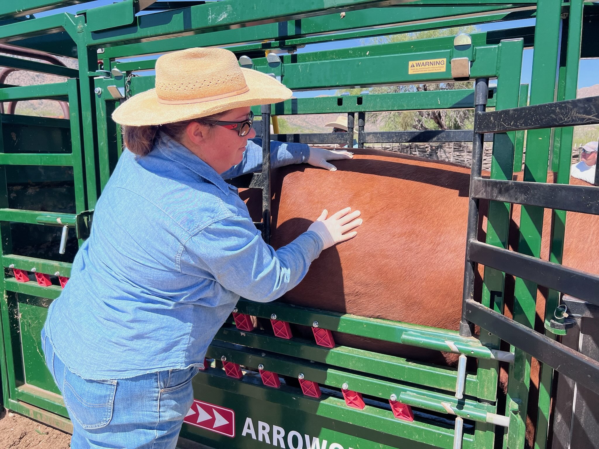 Arizona Wins .74M Grant to Combat New World Screwworm Threat Arizona Wins .74M Grant to Combat New World Screwworm Threat
