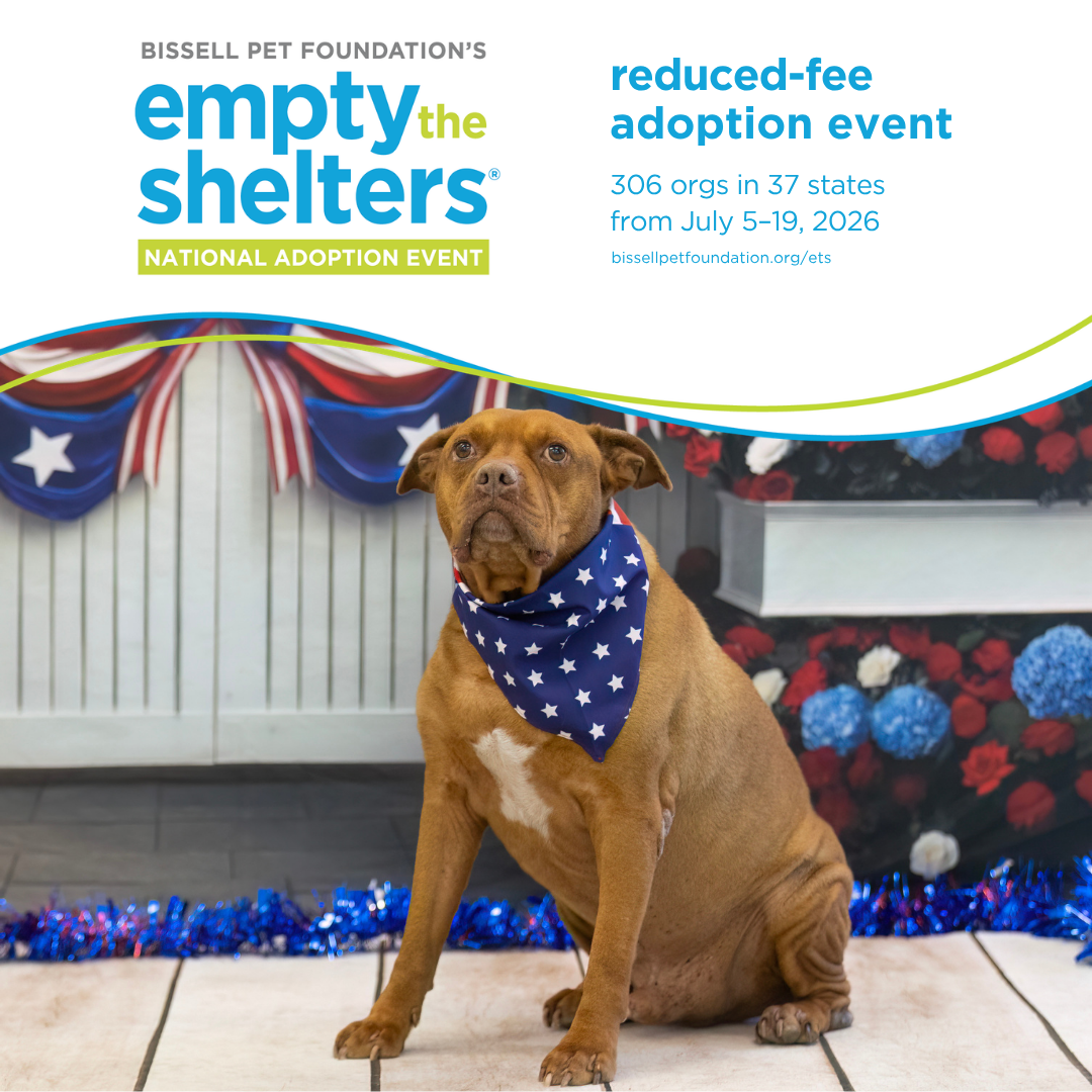 BISSELL Pet Foundation Hosts Adoption Event to Empty Shelters Nationwide BISSELL Pet Foundation Hosts Adoption Event to Empty Shelters Nationwide