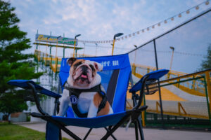 Discover Drake at Iowa State Fair: Exclusive Gear and Meet the Bulldogs Discover Drake at Iowa State Fair: Exclusive Gear and Meet the Bulldogs