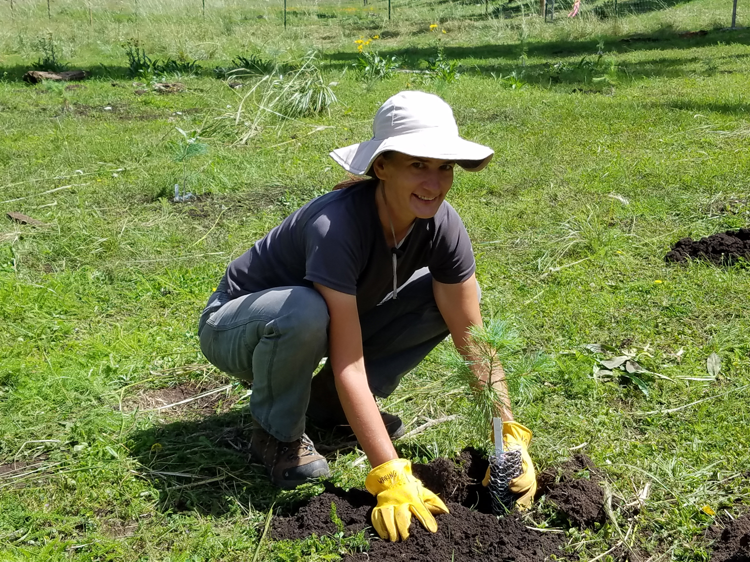 Exploring Reforestation: NAU’s Waring to Study in Sweden on Fulbright Exploring Reforestation: NAU’s Waring to Study in Sweden on Fulbright