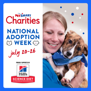Join MCACC and PetSmart for National Adoption Week in Arizona