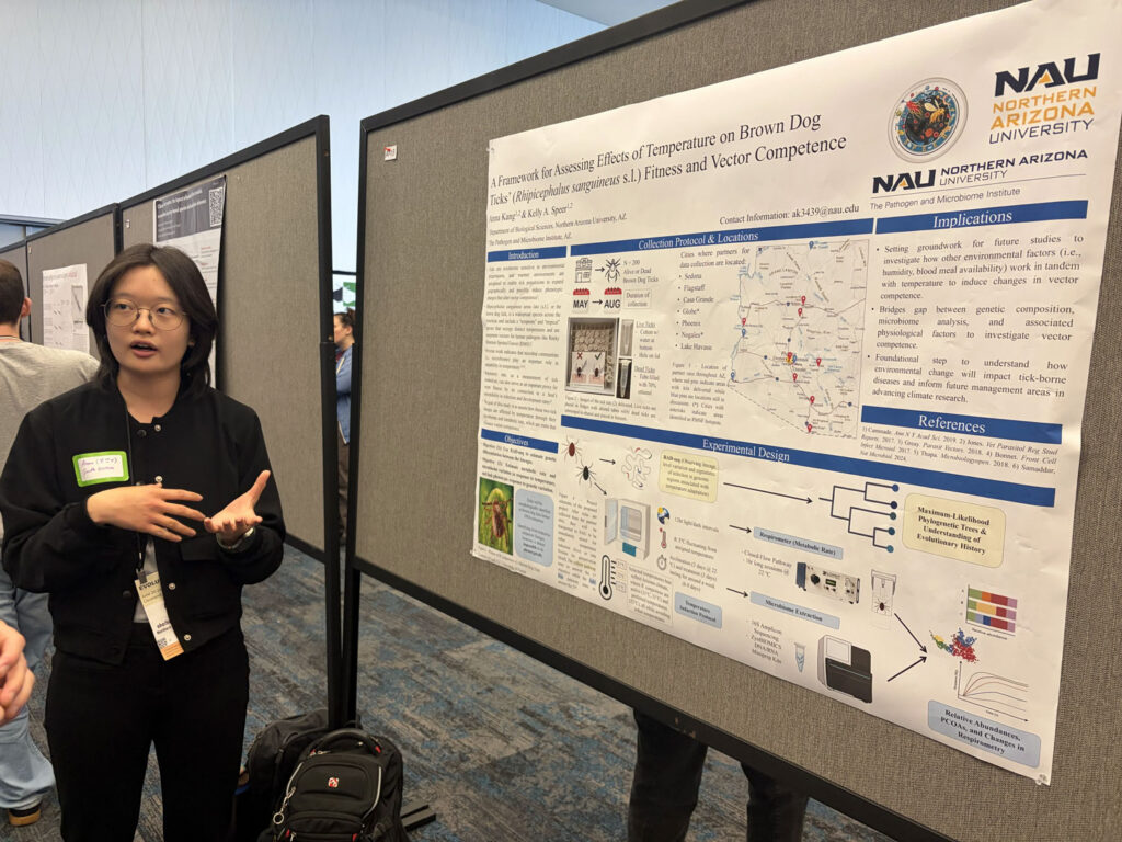 NAU Student Wins Fellowship to Study Brown Dog Ticks in Arizona NAU Student Wins Fellowship to Study Brown Dog Ticks in Arizona
