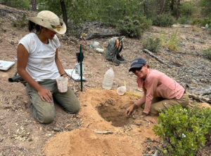 Soil Moisture Sensors: A Gamechanger in Arizona’s Wildfire Management