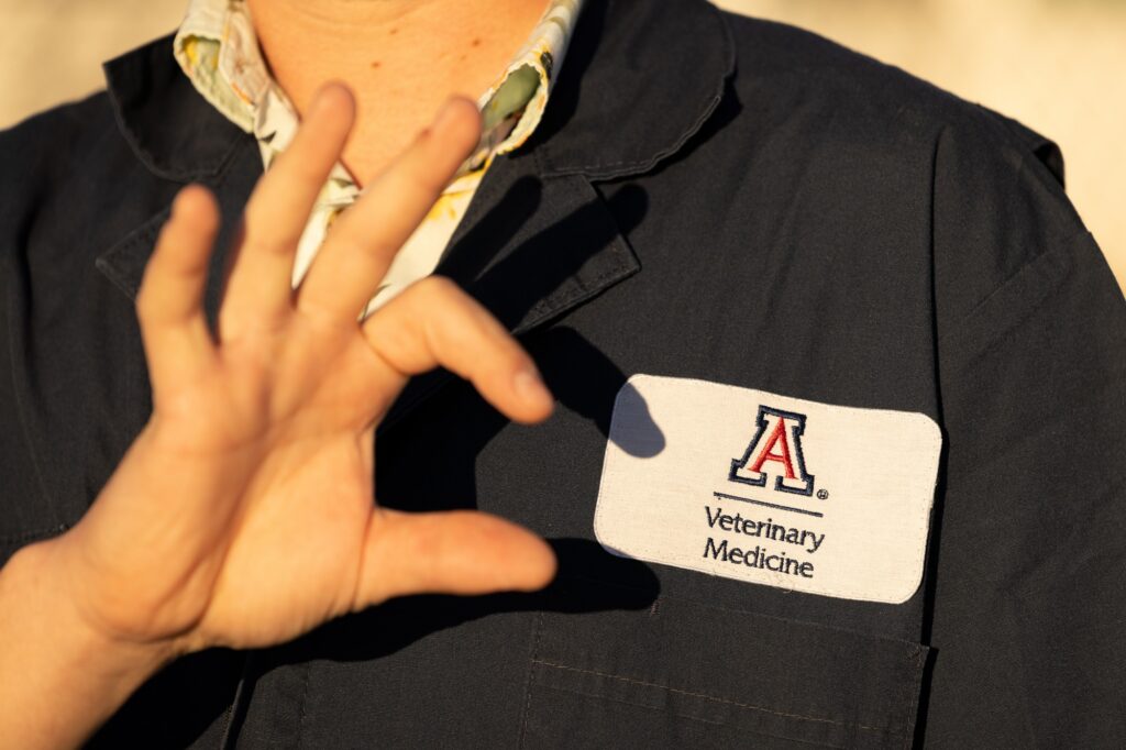 University of Arizona Veterinary College Achieves Full Accreditation Milestone University of Arizona Veterinary College Achieves Full Accreditation Milestone