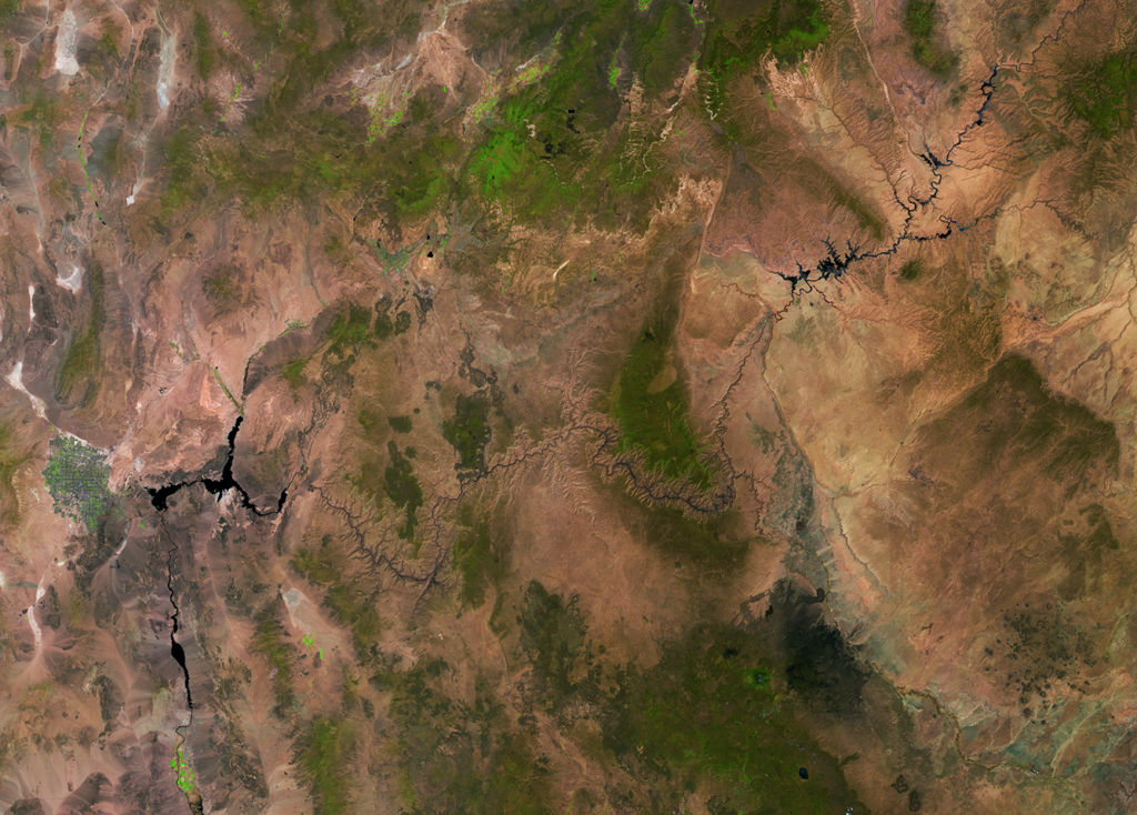 Using AI to Discover Essential Minerals