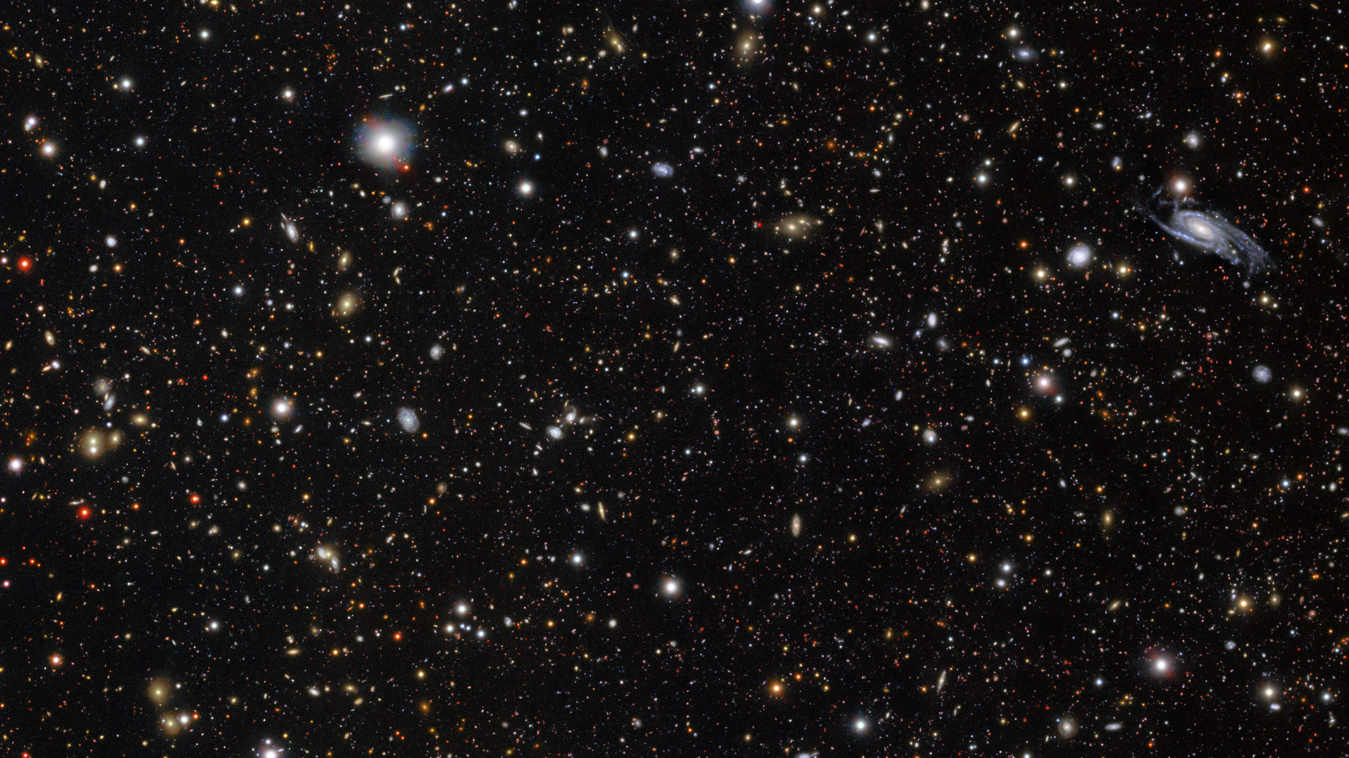 Astronomers Witness Rare Stellar Explosion Astronomers Witness Rare Stellar Explosion