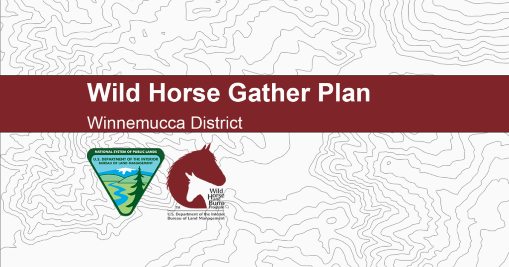 BLM Approves Plan for Managing Wild Horses in Jackson Mountains Area