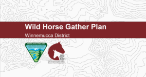 BLM Approves Plan for Managing Wild Horses in Jackson Mountains Area BLM Approves Plan for Managing Wild Horses in Jackson Mountains Area