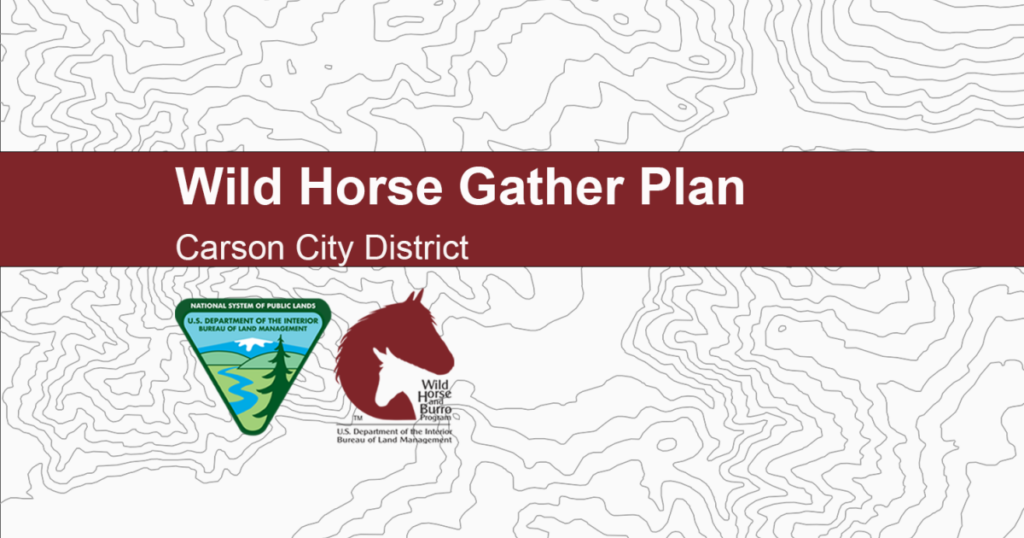 BLM Approves Plan to Manage Wild Horse Population in North Complex BLM Approves Plan to Manage Wild Horse Population in North Complex