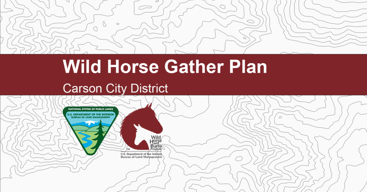 BLM Approves Plan to Manage Wild Horse Population in North Complex BLM Approves Plan to Manage Wild Horse Population in North Complex